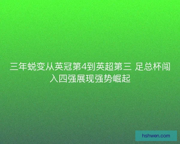 三年蜕变从英冠第4到英超第三 足总杯闯入四强展现强势崛起